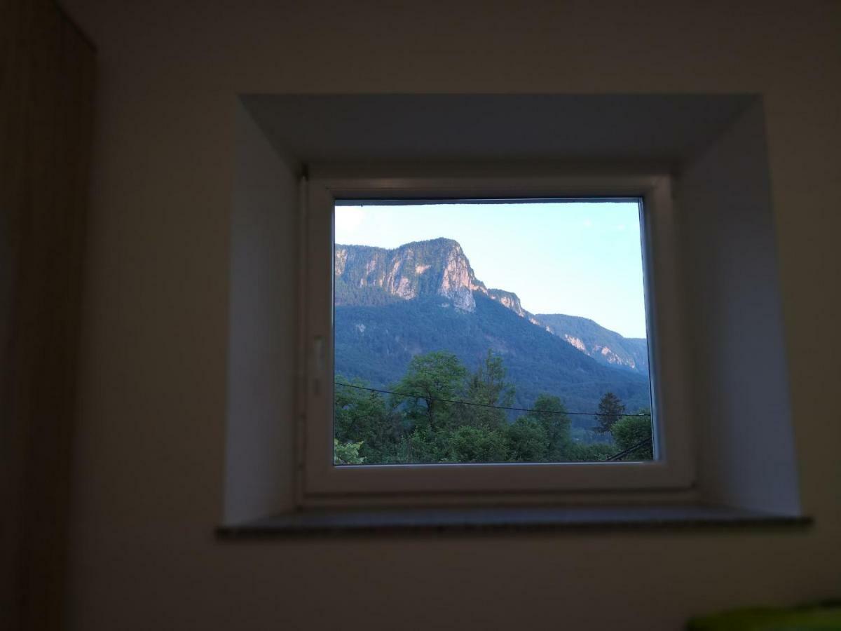Apartmaji Zupan Bohinjska Bela Exterior photo